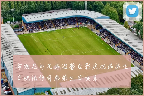 布朗尼与兄弟温馨合影庆祝弟弟生日祝福传奇弟弟生日快乐